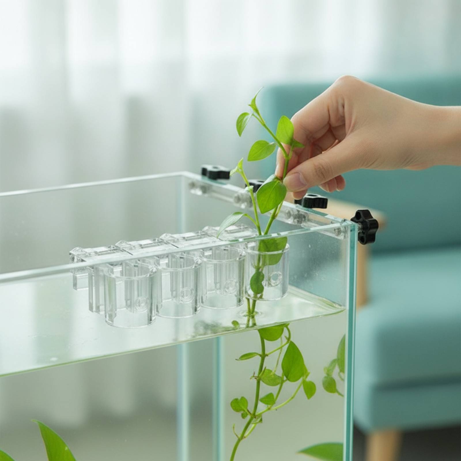 Aquarium Planting - คลิปหนีบกระถางปลูกพืชน้ำแบบใส 6 ชิ้น พร้อมสกรู สำหรับคนเลี้ยงปลาและตู้ปลา