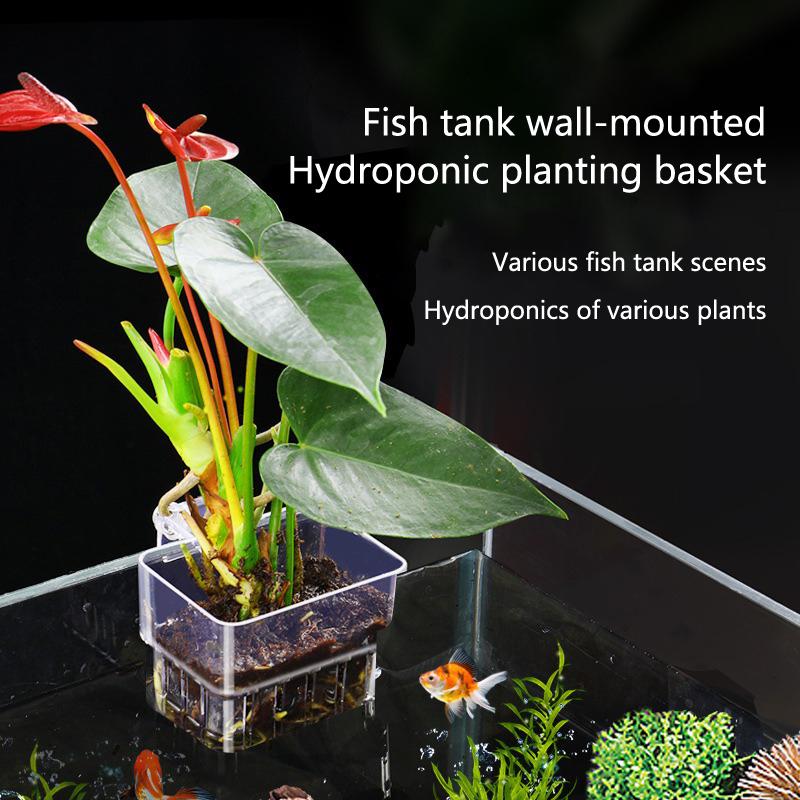 Aquarium Planted Set Up - ถ้วยปลูกพืชไฮโดรโปนิกส์สำหรับตู้ปลา 2 5 10 ชิ้น สำหรับการเพาะเลี้ยงพืชน้ำ