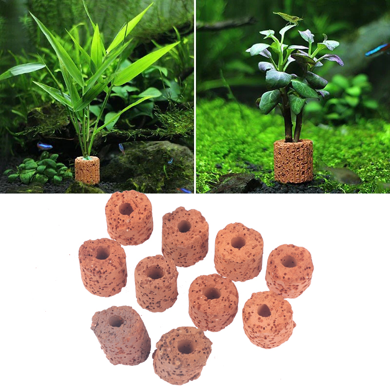 Aquarium Planted Set Up - วงแหวนตกแต่งต้นไม้น้ำขนาดเล็ก 10 ชิ้น สำหรับตู้ปลาขนาดเล็ก