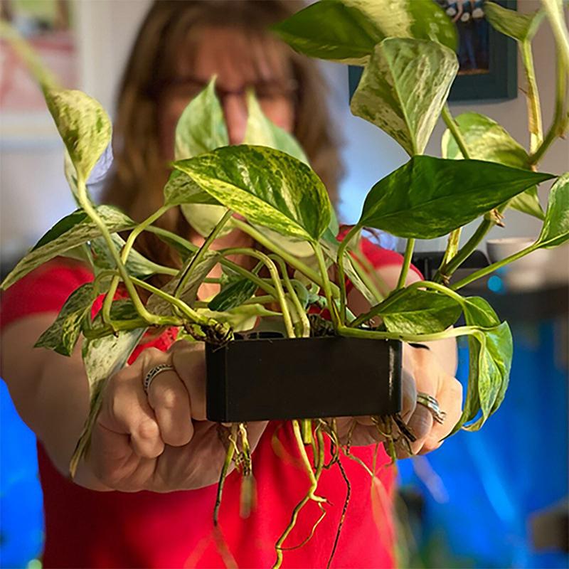 Aquarium Planted Set Up - ตะกร้ารองรับต้นไม้ในตู้ปลา 1 2 3 ชิ้น ชั้นวางเพาะปลูก