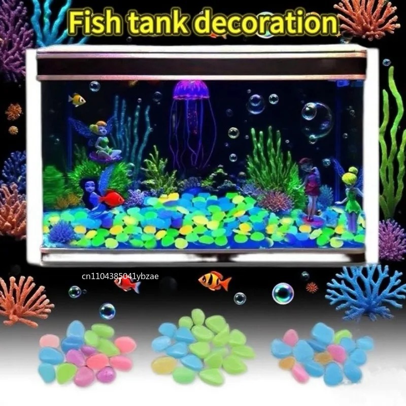 หินเรืองแสงในที่มืด 100-800 ชิ - Aquarium Planting บทวิจารณ์และราคา