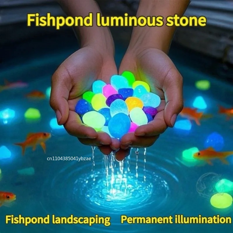 หินเรืองแสงในที่มืด 100-800 ชิ - Aquarium Planting บทวิจารณ์และราคา