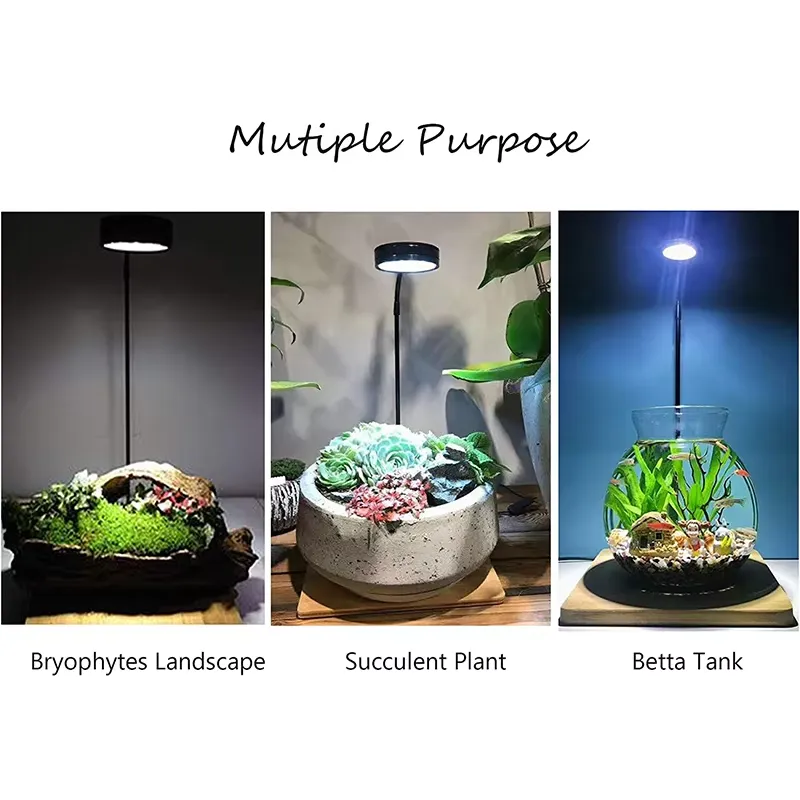 ไฟ LED ฟูลสเปกตรัมพร้อมแผงวงจร - Planted Aquarium Hours บทวิจารณ์และราคา