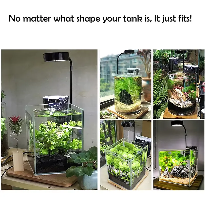 ไฟ LED ฟูลสเปกตรัมพร้อมแผงวงจร - Planted Aquarium Hours บทวิจารณ์และราคา