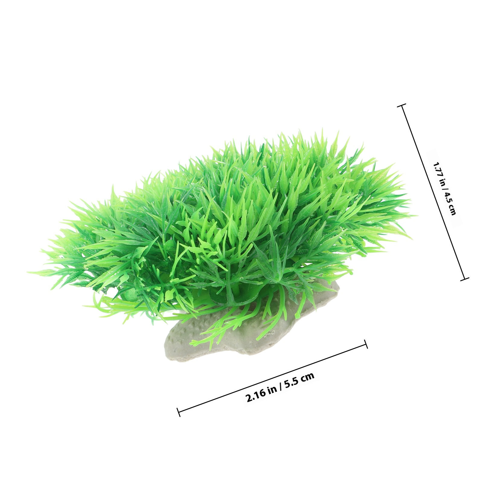 6 ชิ้น ต้นไม้ประดับตู้ปลาเหมือ - Aquarium Planted Set Up บทวิจารณ์และราคา