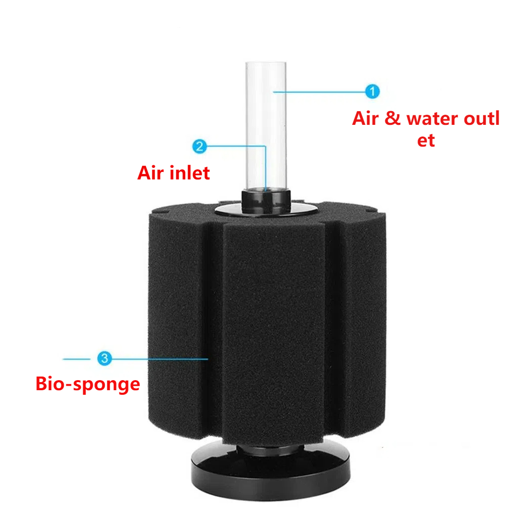 ฟองน้ำกรองตู้ปลา ปั๊มลม สกิมเม - Aquarium Planted Filter บทวิจารณ์และราคา