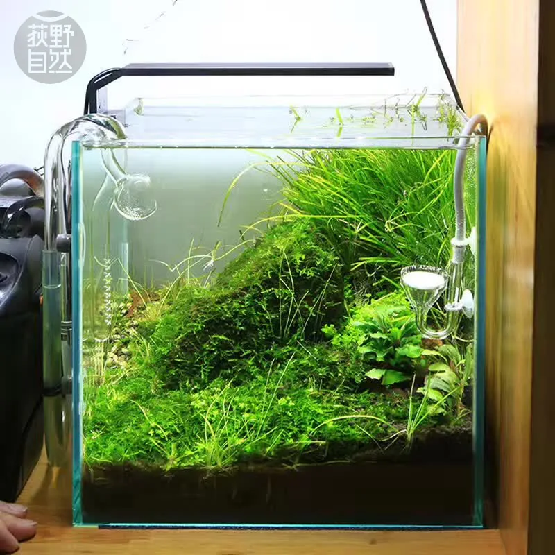 Chihiros C Series ADA สไตล์พืช - Aquarium Plant Growth Light บทวิจารณ์และราคา