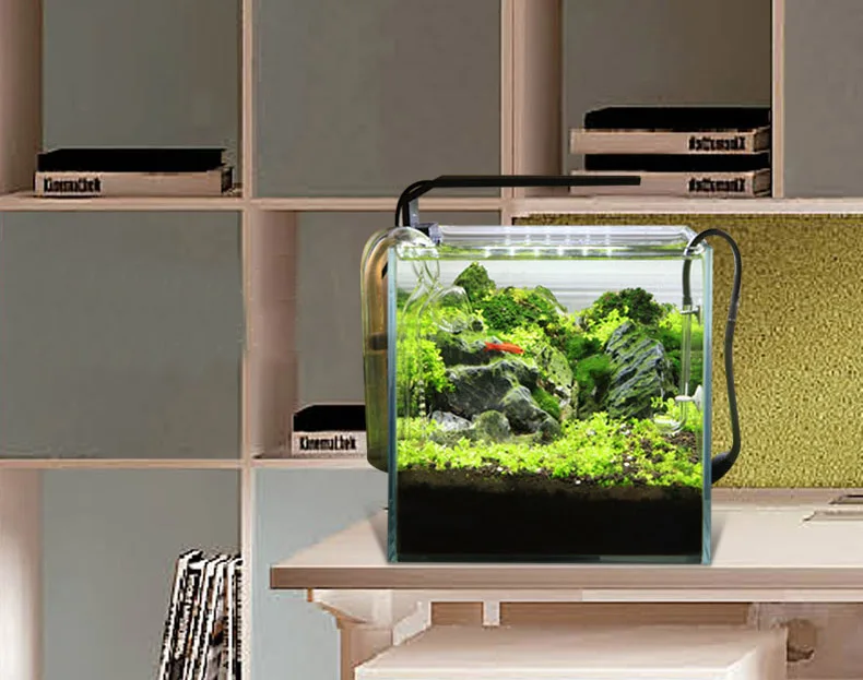 Chihiros C Series ADA สไตล์พืช - Aquarium Plant Growth Light บทวิจารณ์และราคา