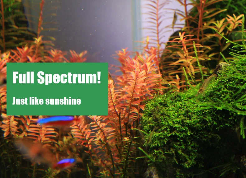 Chihiros C Series ADA สไตล์พืช - Aquarium Plant Growth Light บทวิจารณ์และราคา