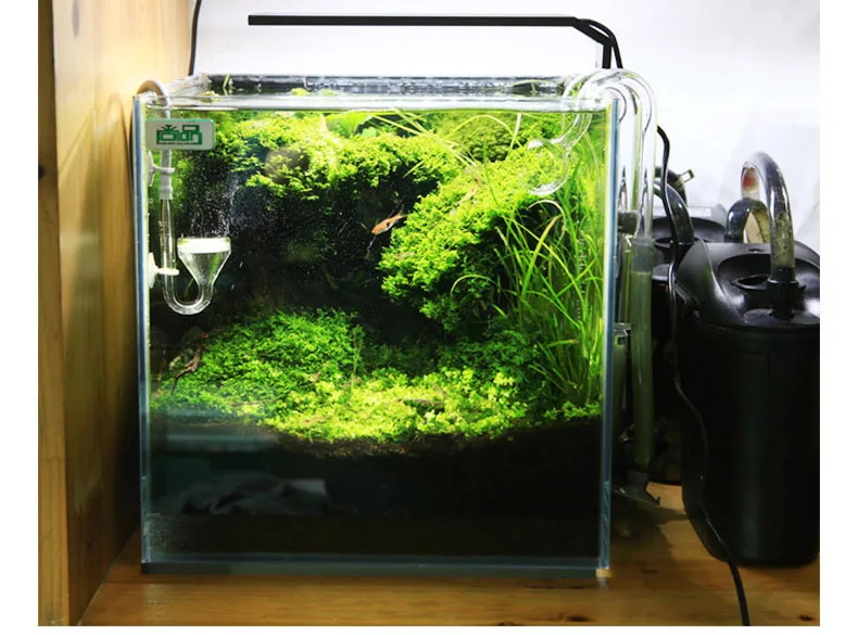 Chihiros C Series ADA สไตล์พืช - Aquarium Plant Growth Light บทวิจารณ์และราคา