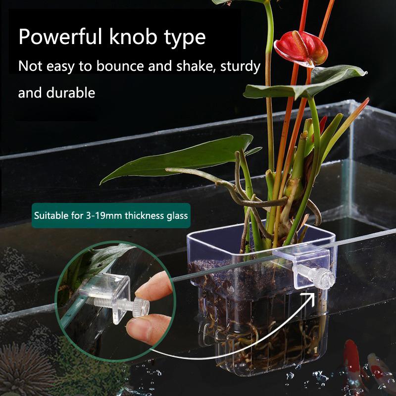 ถ้วยปลูกพืชไฮโดรโปนิกส์สำหรับต - Aquarium Planted Set Up บทวิจารณ์และราคา