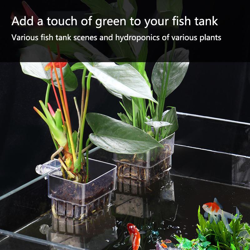 ถ้วยปลูกพืชไฮโดรโปนิกส์สำหรับต - Aquarium Planted Set Up บทวิจารณ์และราคา