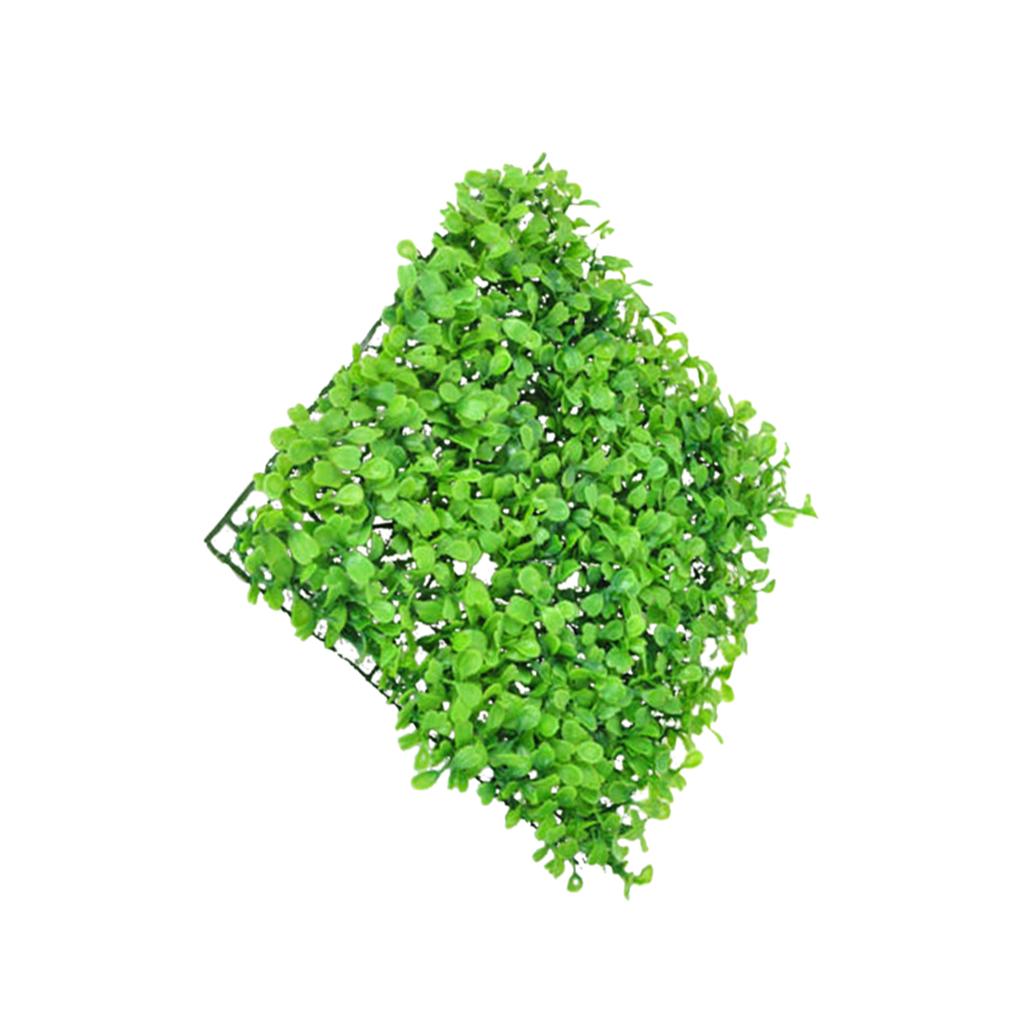 หญ้าเทียมพลาสติกเรซินสังเคราะห - Aquarium Planted Set Up บทวิจารณ์และราคา