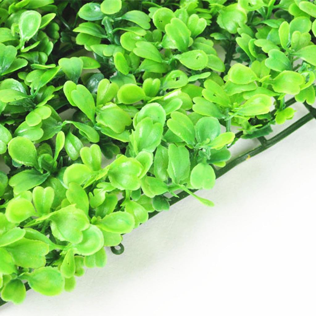 หญ้าเทียมพลาสติกเรซินสังเคราะห - Aquarium Planted Set Up บทวิจารณ์และราคา
