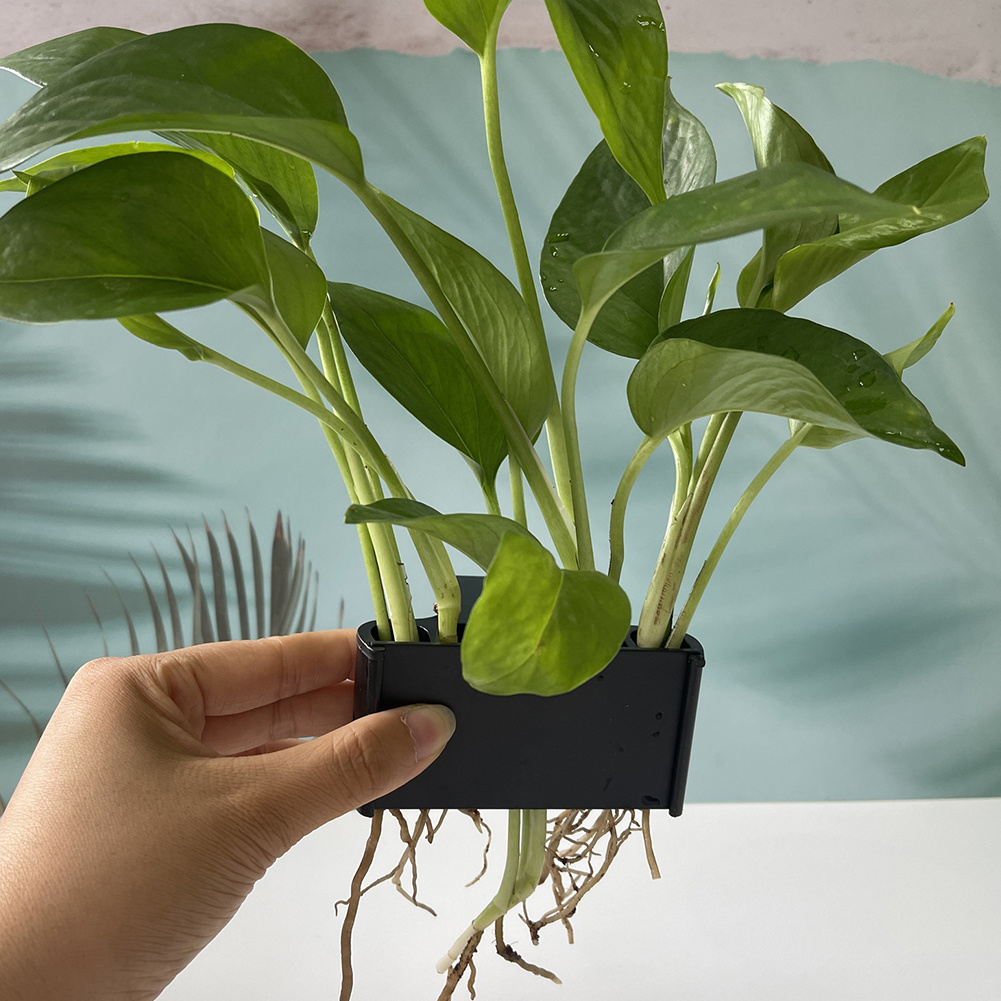 ผู้ถือต้นไม้พิพิธภัณฑ์สัตว์น้ํ - Aquarium Planted Tank Substrate บทวิจารณ์และราคา