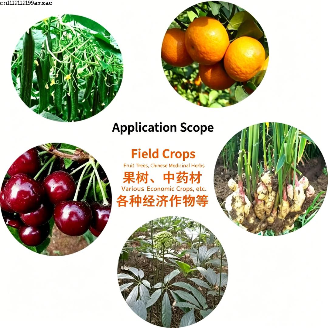 ผงแบคทีเรียบาซิลลัส ซับทิลิส ท - Aquarium Plant Fertilizer บทวิจารณ์และราคา