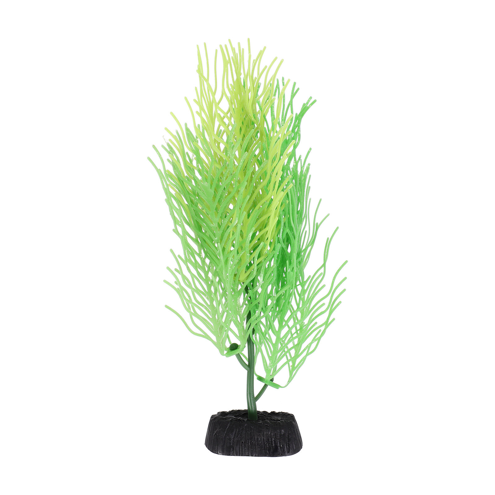 ต้นไม้ประดับตู้ปลาจำลองแบบฮอร์ - Aquarium Planted Set Up บทวิจารณ์และราคา