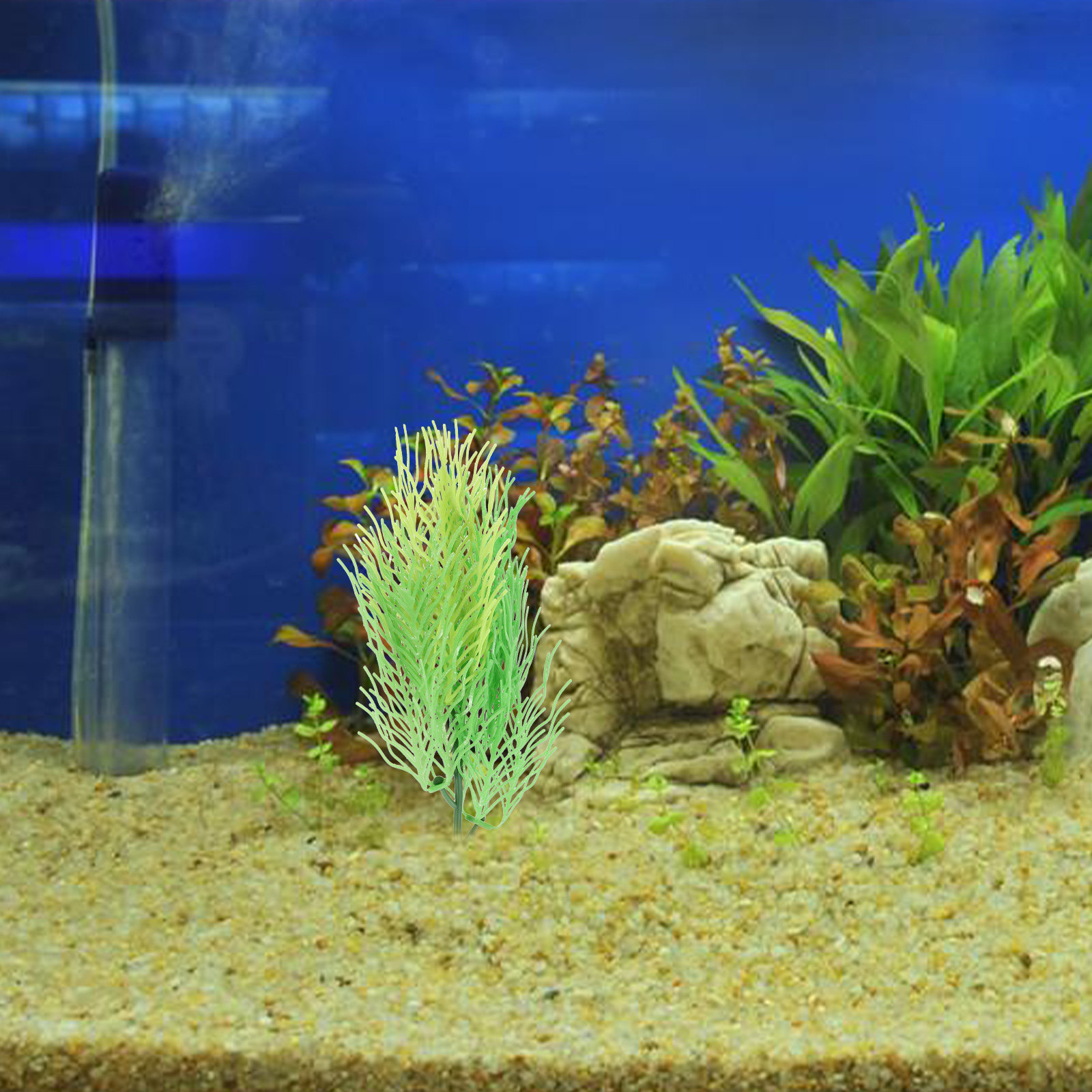 ต้นไม้ประดับตู้ปลาจำลองแบบฮอร์ - Aquarium Planted Set Up บทวิจารณ์และราคา