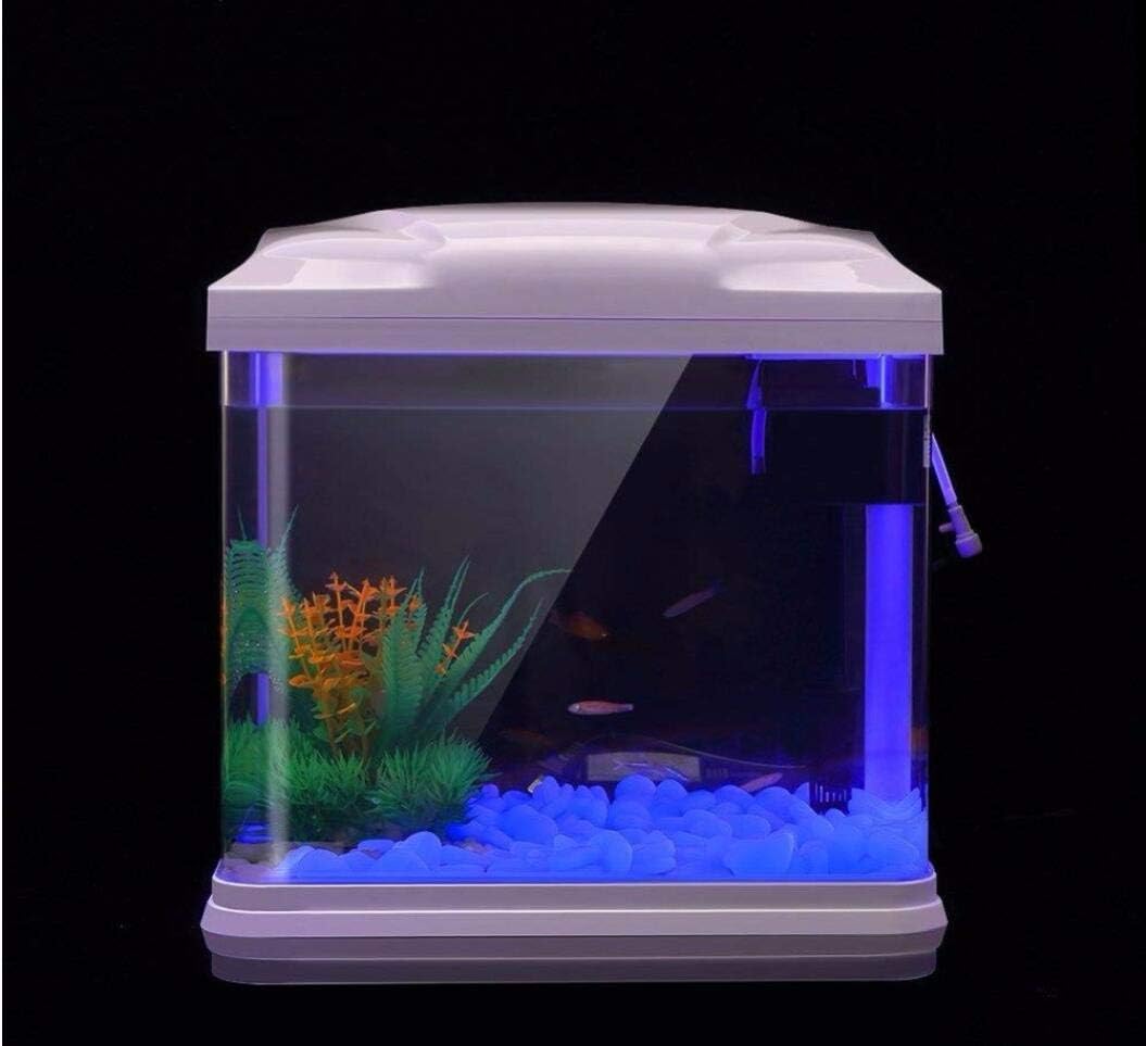 ถังปลา Rocks Glow Blue Pebbles - Aquarium Planting บทวิจารณ์และราคา