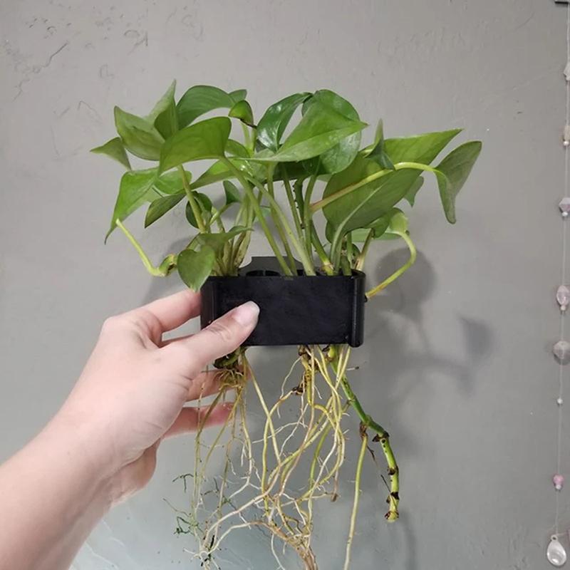 ตะกร้ารองรับต้นไม้ในตู้ปลา 1 2 - Aquarium Planted Set Up บทวิจารณ์และราคา