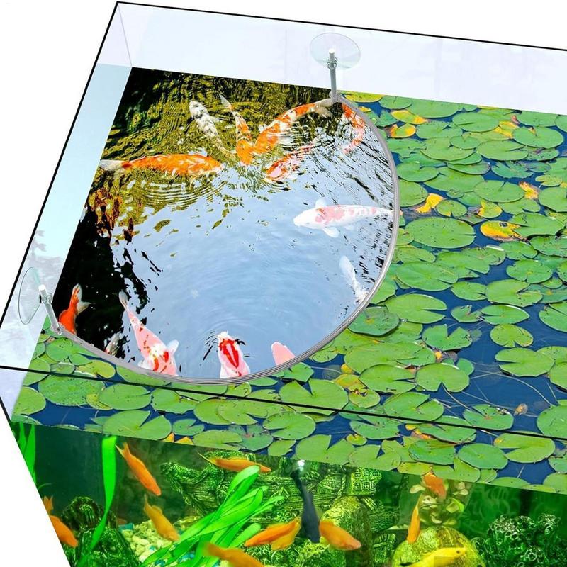 พืชลอย Corral Fish Feeding แหว - Aquael Filter Fzn บทวิจารณ์และราคา