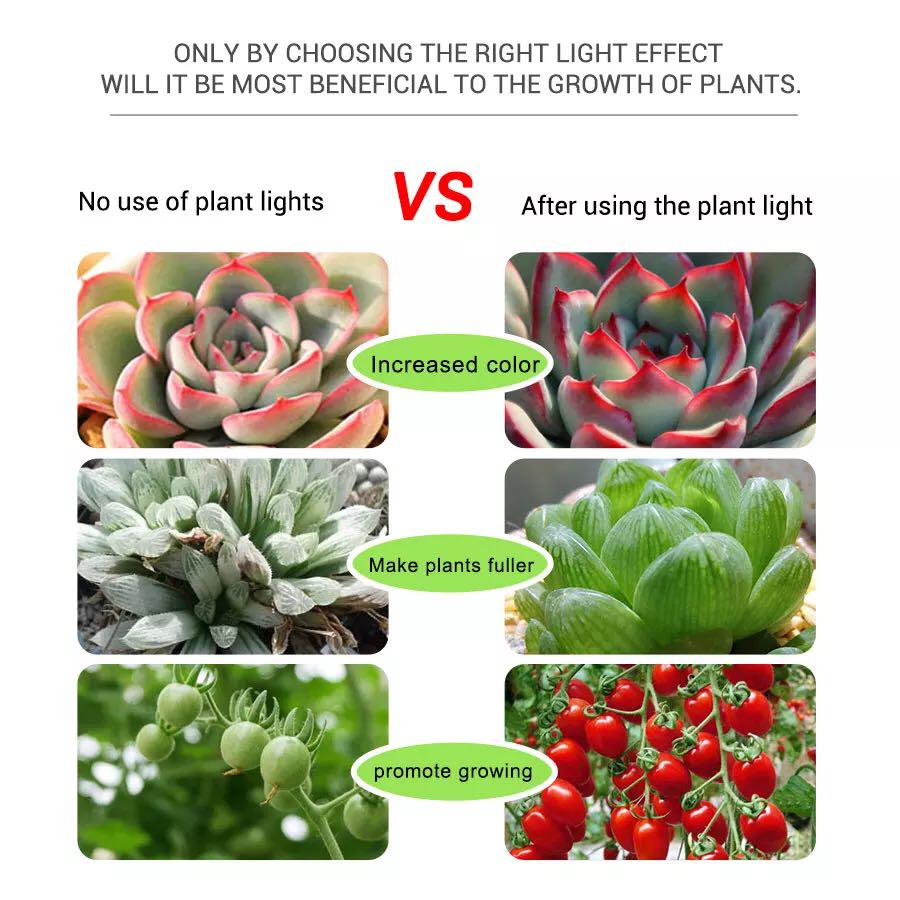 Full Spectrum 5V USB โรงงานเทป - Planted Aquarium Hours บทวิจารณ์และราคา