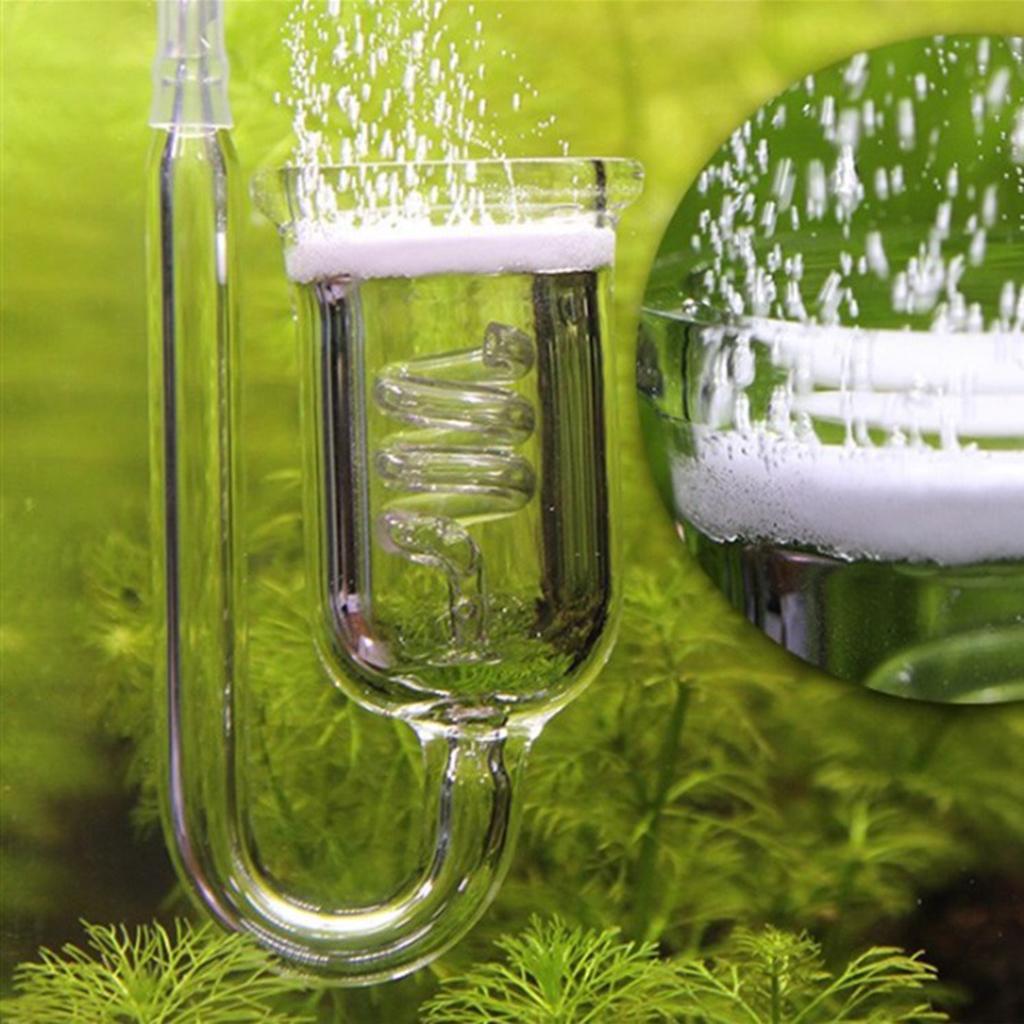 เครื่องกระจายก๊าซคาร์บอนไดออกไ - Aquarium Planted Set Up บทวิจารณ์และราคา