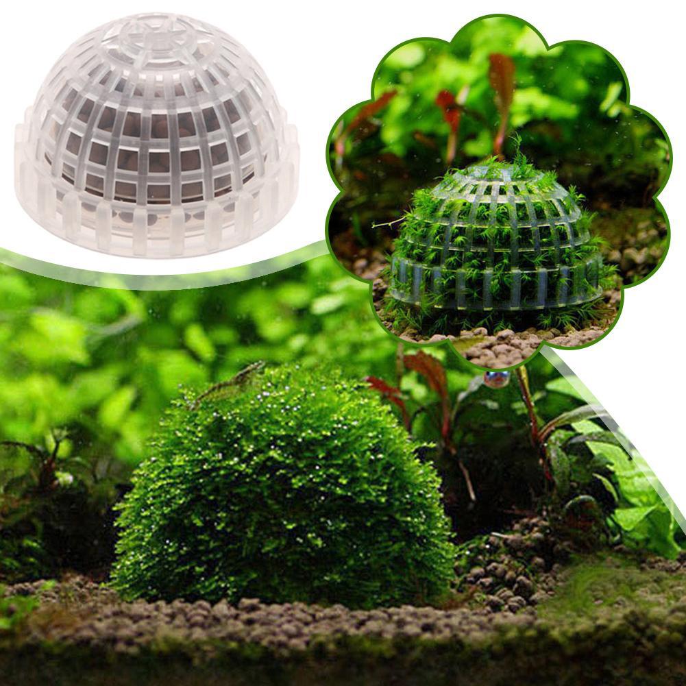อุปกรณ์ตกแต่งตู้ปลา 1 ชิ้น ลูก - Aquarium Planted Tank Substrate บทวิจารณ์และราคา