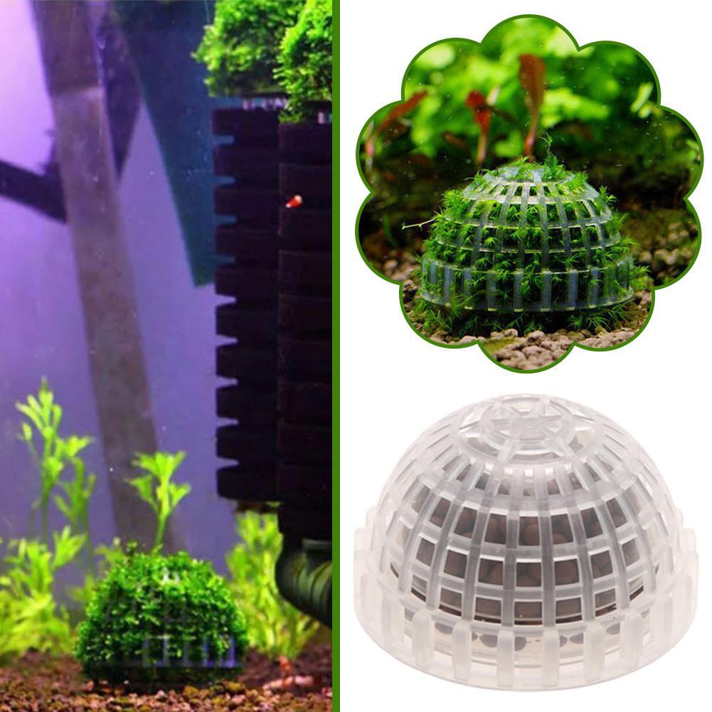 อุปกรณ์ตกแต่งตู้ปลา 1 ชิ้น ลูก - Aquarium Planted Tank Substrate บทวิจารณ์และราคา