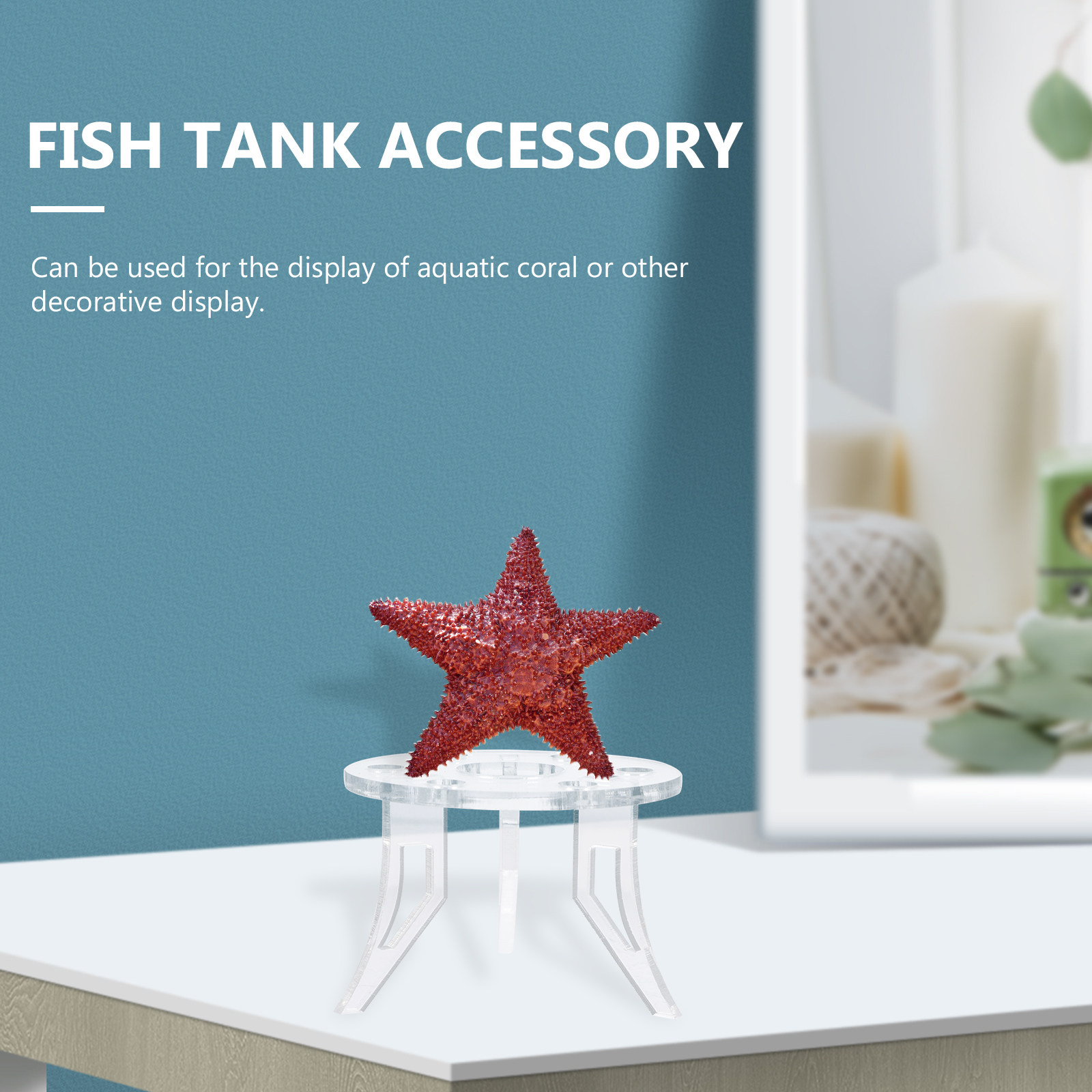 ฐานวางปะการัง 1 ชิ้น อุปกรณ์ตก - Aquarium Planted Set Up บทวิจารณ์และราคา