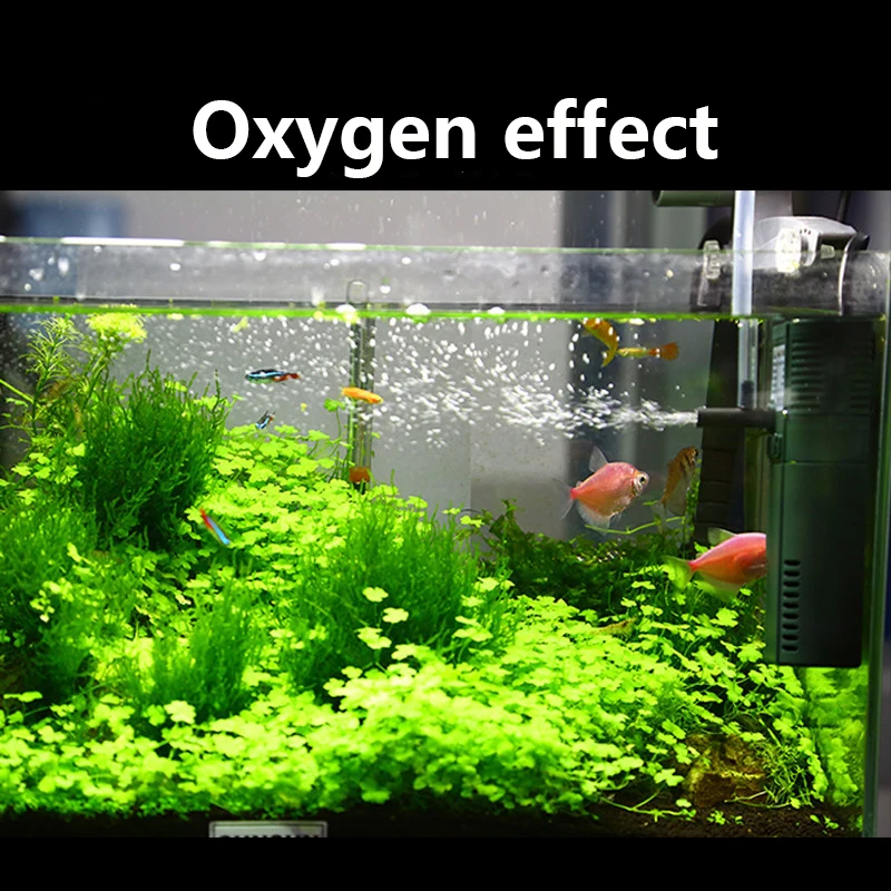 Sunsun 311B 111B ขนาดเล็กนาโน6 - Aquarium Planted Filter บทวิจารณ์และราคา